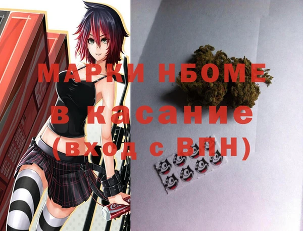 круглые Тайга