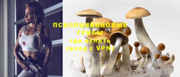 a pvp Зеленодольск