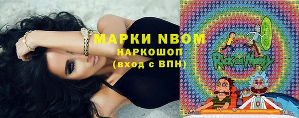 индика Зерноград