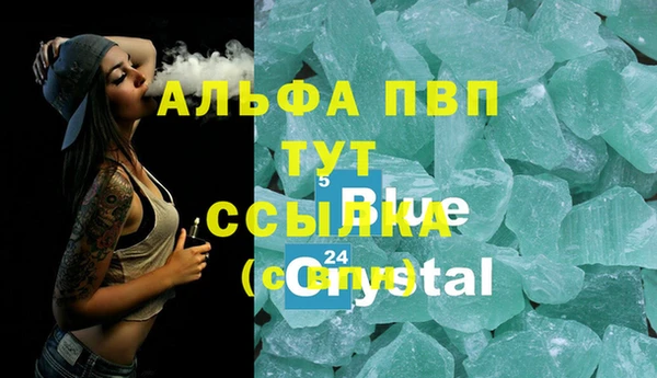 индика Зерноград