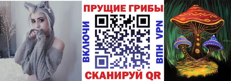 Псилоцибиновые грибы Psilocybe  Купить закладки  Россошь 